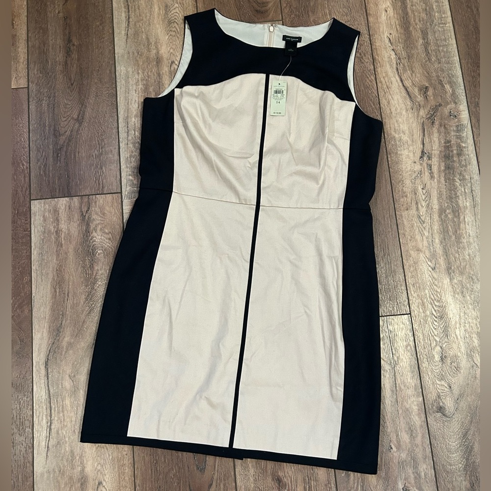 Ann Taylor Dress